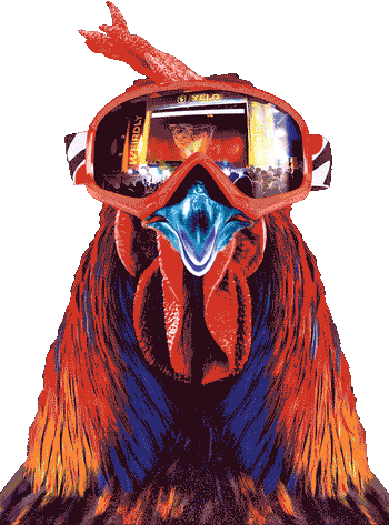 Rooster